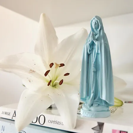 Casa Do Lírio - Local Apartamento