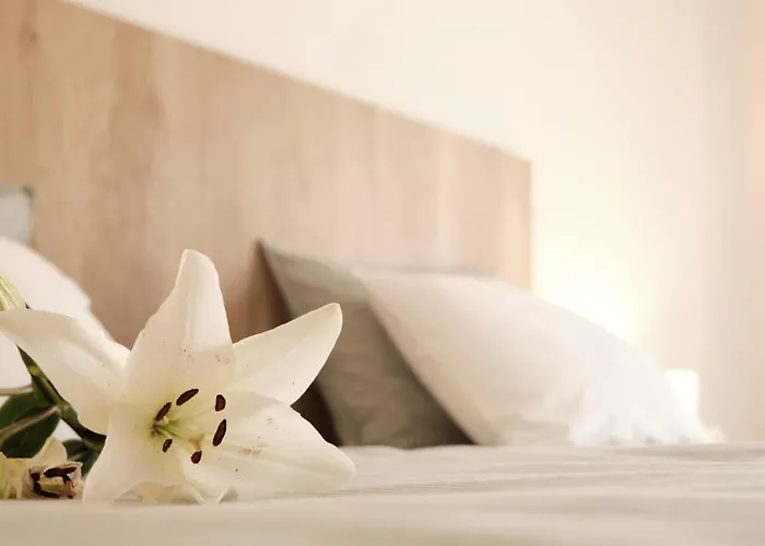 Apartamento Casa Do Lírio - Local