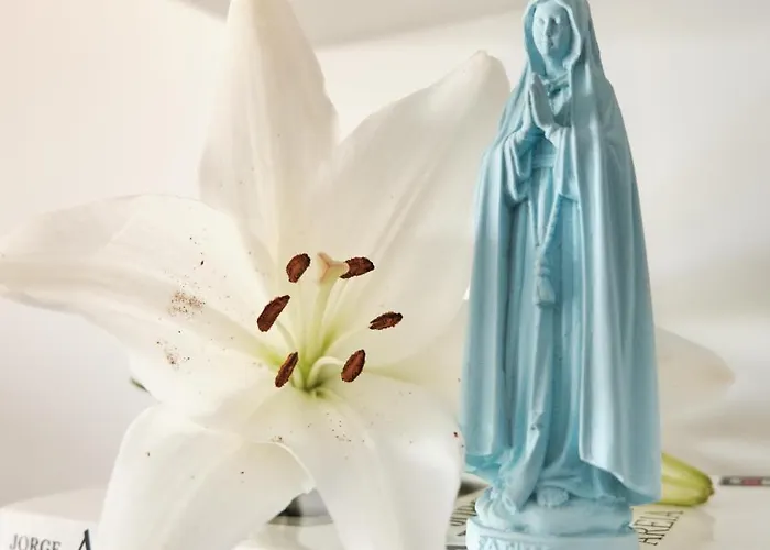 Casa Do Lírio - Local Apartamento